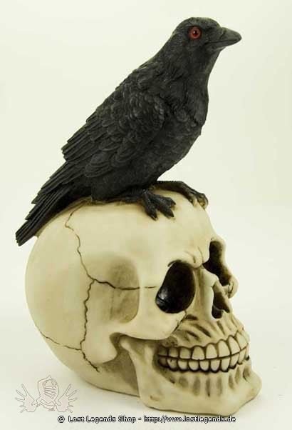 Crow On Skull 
