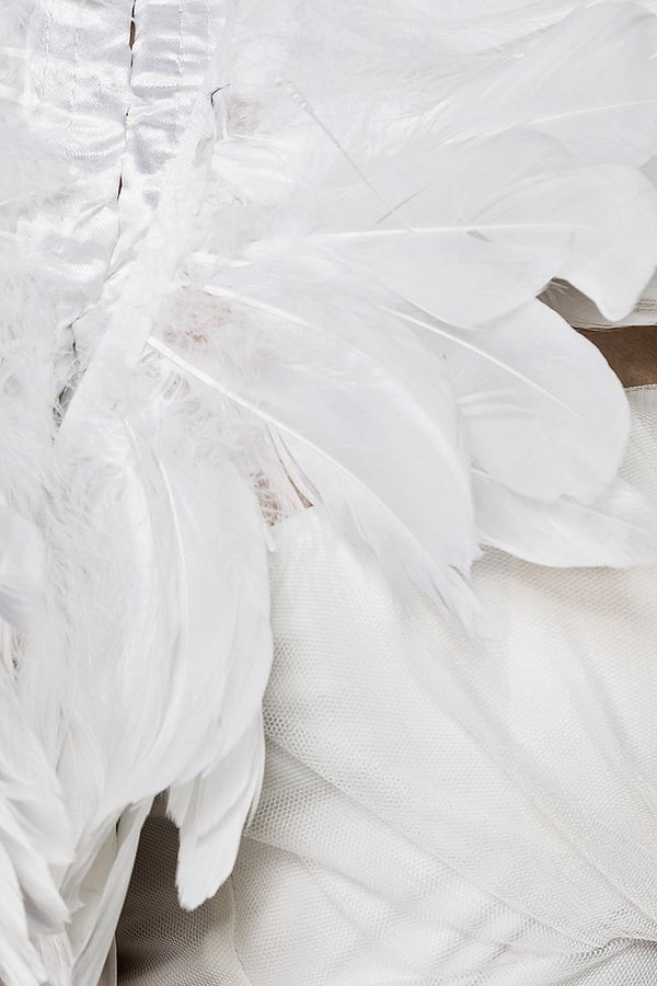White Swan Kostümset weiß