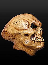 Aliensch�del Maske Latex Maske