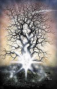 Birth of Starchild 