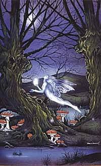 Fairy Magic 