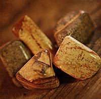 Landschaftsjaspis S�dafrika 