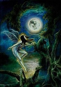 Moon Dance 