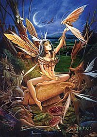 Moth Fairy 