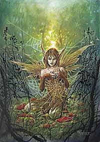 The Cobweb Fairy 