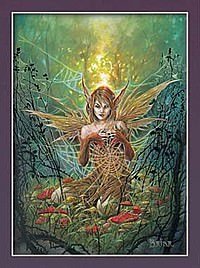 The Cobweb Fairy 
