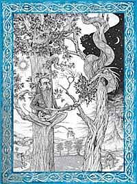 The Dryad 